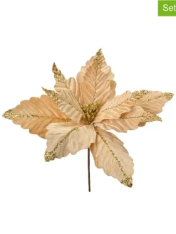 2er-Set: Dekopflanzen in Beige/ Gold - (H)36 cm