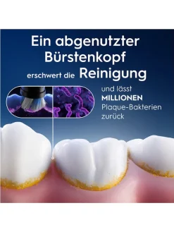 8er-Set: Ersatz-Bürstenköpfe 