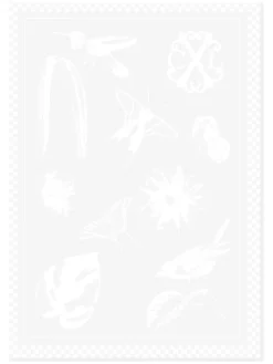 2er-Set: Geschirrtücher in Weiß