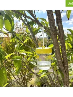 2er-Set: Insektenfalle in Transparent/ Gelb