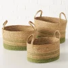 3er-Set: Körbe "Agostina" in Natur/ Grün