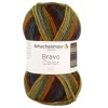 20er-Set: Kunstfasergarne ''Bravo Color'' in Bunt - 20x 50 g