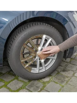 6er-Set: Kupferschwämme in Hellbraun - (L)11 x (B)7 cm