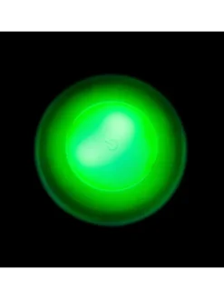 4er-Set: LED-Spots in Weiß - Ø 19 cm