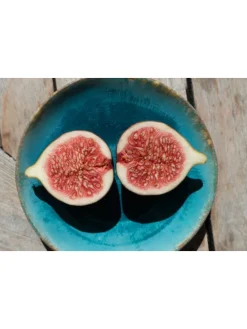 8er-Set: Mediterrane Pflanzen in Bunt