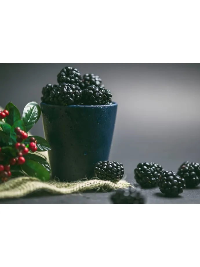 8er-Set: Obstpflanzen in Bunt