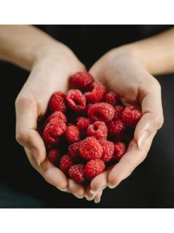 8er-Set: Obstpflanzen in Bunt