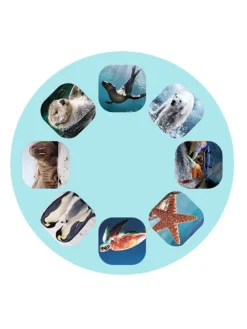 2er-Set: Projektor-Taschenlampen 