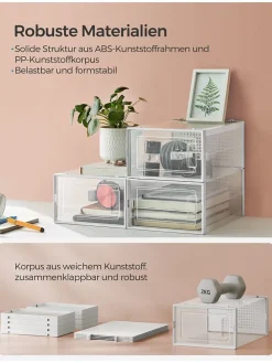 12er-Set: Schuhboxen in Transparent - (B)23 x (H)14,3 x (T)33,5 cm