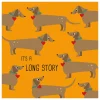2er-Set: Servietten ''Long Story'' in Orange/ Hellbraun - 2x 20 Stück