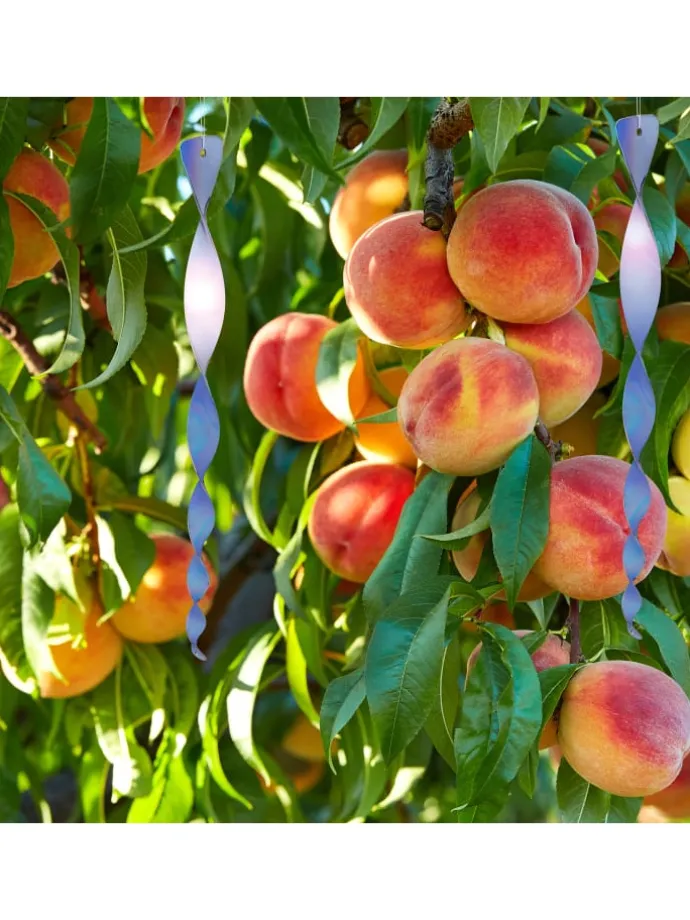 12er-Set: Vogelabwehrspirale in Grün