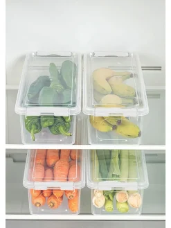 4er-Set: Vorratsdosen in Transparent