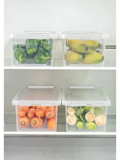 4er-Set: Vorratsdosen in Transparent