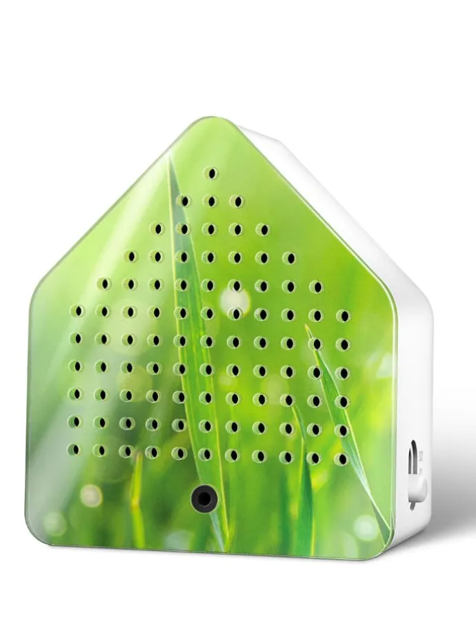 2er-Set: Zirpyboxen in Grün - (B)7 x (H)7,7 x (T)4 cm