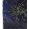 Fantasyroman "Callibsos Welt - Band 16"