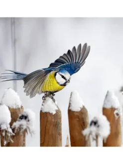 Fenster-Vogelfutterhaus in Transparent