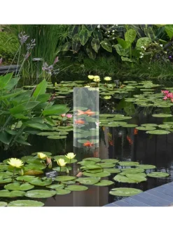 Fischsäule in Transparent/ Grau