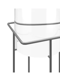 Fischsäule in Transparent/ Grau