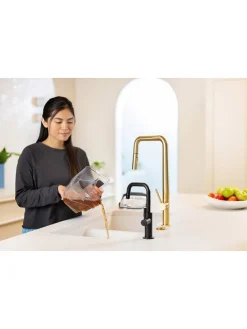 Fleckenreiniger ''SpotClean HydroSteam Select'' in Schwarz - (B)32 x (H)36,8 x (T)39 cm