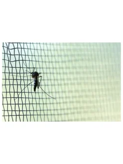 Fliegengitter in Schwarz - (L)210 x (B)100 cm