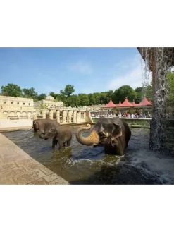 4*Fora Hotel Hannover by Mercure