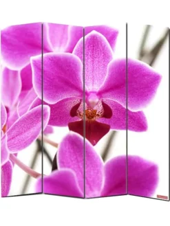 Foto-Paravent Bagheria, 180x160cm, Orchidee