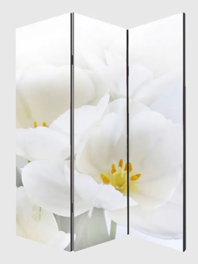 Foto-Paravent Bagheria, 180x120cm, Orchidee