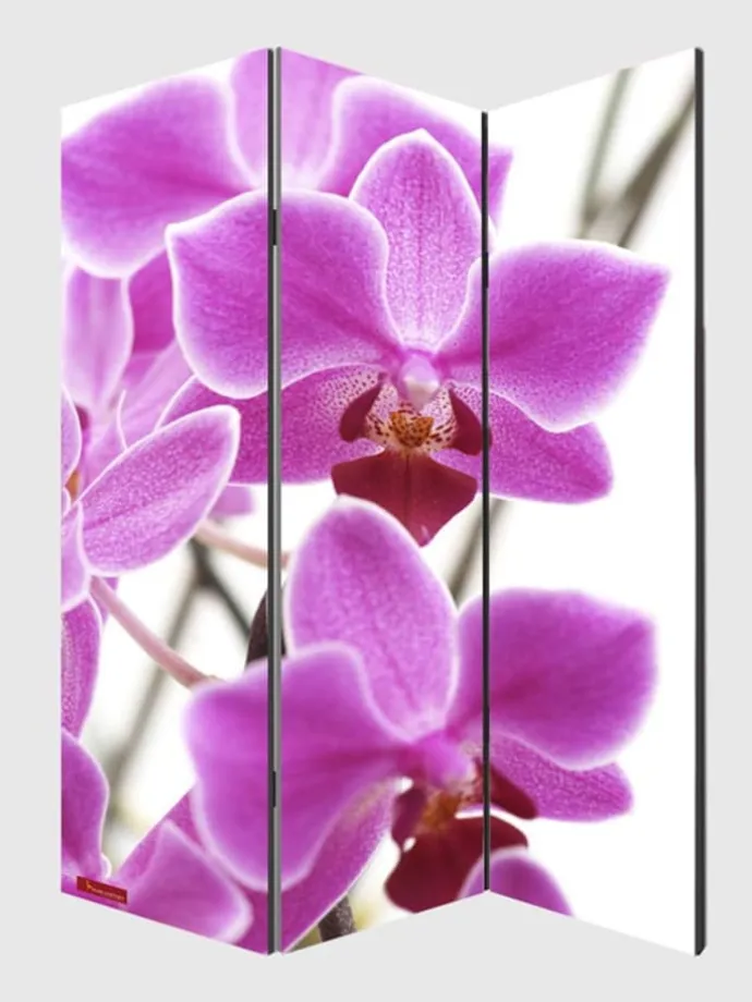 Foto-Paravent Bagheria, 180x120cm, Orchidee