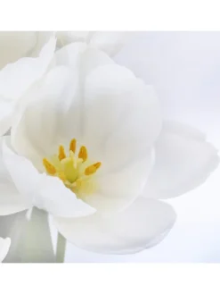 Foto-Paravent Bagheria, 180x120cm, Orchidee