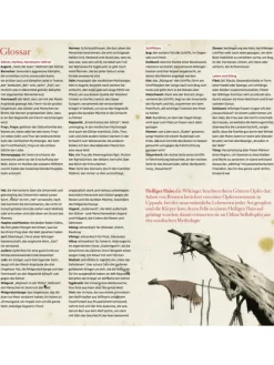 Fred bei den Wikingern | Jarl Ragnalds Vermächtnis