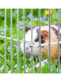 Freilaufgehege Kleintiere in Silber - (H) 27 cm
