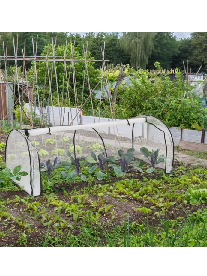 Frühbeet in Weiß/ Schwarz - (B)100 x (H)80 x (T)200 cm