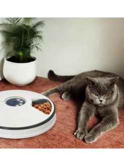 Futterautomat Katze in Weiß/ Grau