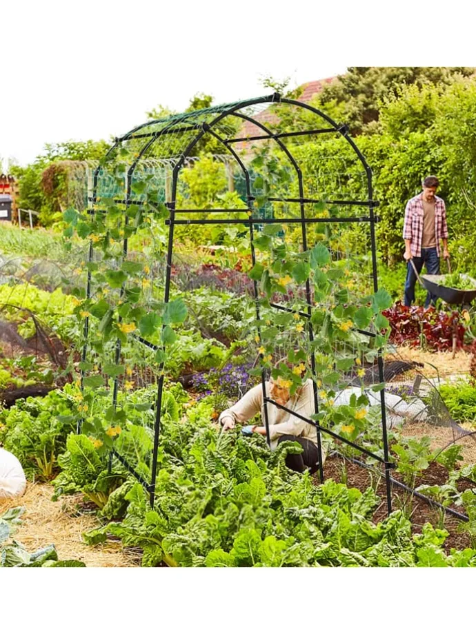 Gartenbogen 230cm in Schwarz