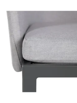 Gartenpolsterstuhl Gleamy 2er-Set in Hellgrau