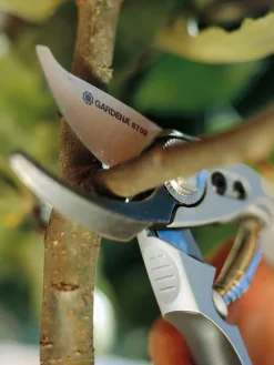 Gartenschere 