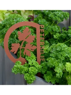 Gartenstecker Rostoptik 10er Set Kräuter in Braun