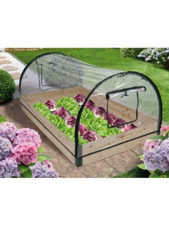 Gewächshaus in Transparent - (B)120 x (H)50 x (T)80 cm