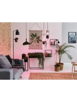 Grow Green Edition Filament 230V LED Reflektor R63