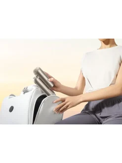 Haartrockner & Lockenstyler ''Pocket Neo'' in Gold