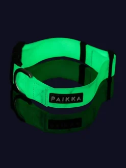 Halsband "Glow" in Grün