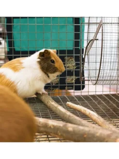 Heutasche in Grün/ Schwarz - (B)30 x (H)30 cm