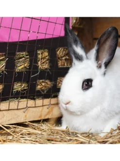 Heutasche in Pink/ Schwarz - (B)30 x (H)30 cm