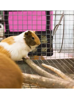 Heutasche in Pink/ Schwarz - (B)30 x (H)30 cm