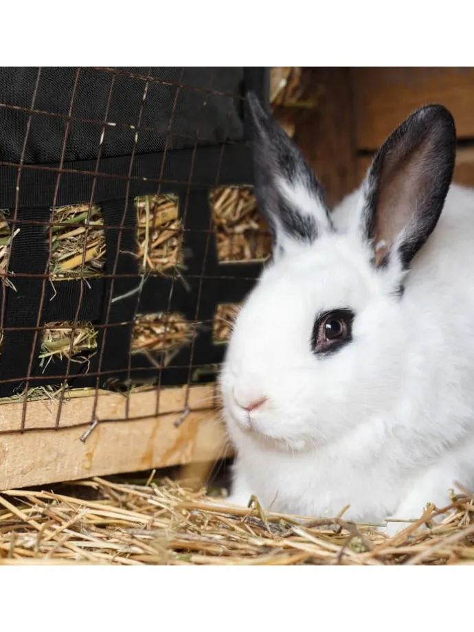 Heutasche in Schwarz - (B)30 x (H)30 cm