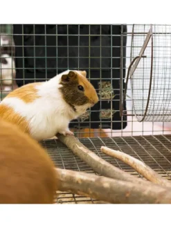 Heutasche in Schwarz - (B)30 x (H)30 cm