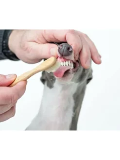 Holzzahnbürste groß in Hellbraun