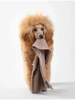 Hunde-Badetuch in Hellbraun