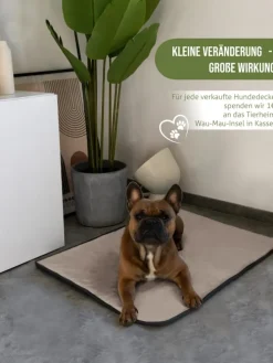 Hundedecke Lund in Beige