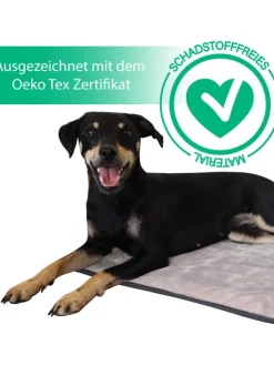 Hundedecke Lund in Beige